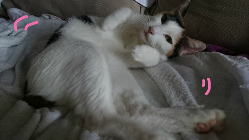 f:id:gosaku13:20161125091711j:image