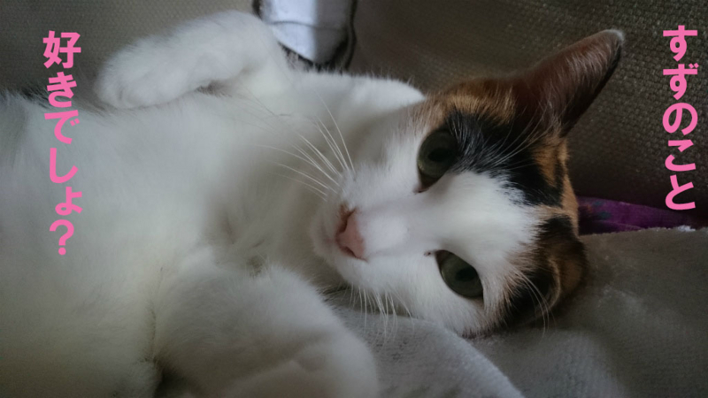 f:id:gosaku13:20161125091821j:image