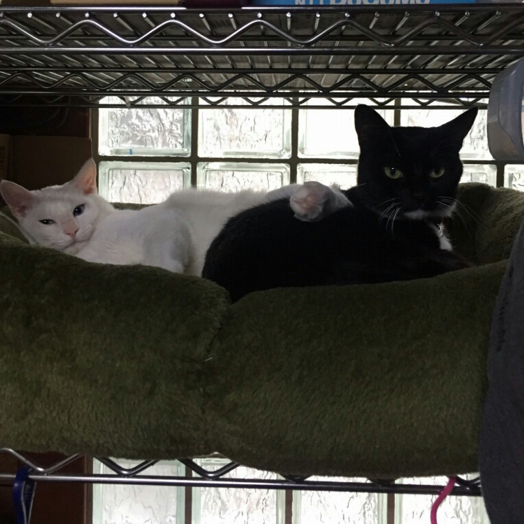 f:id:gosaku13:20161125205857j:image