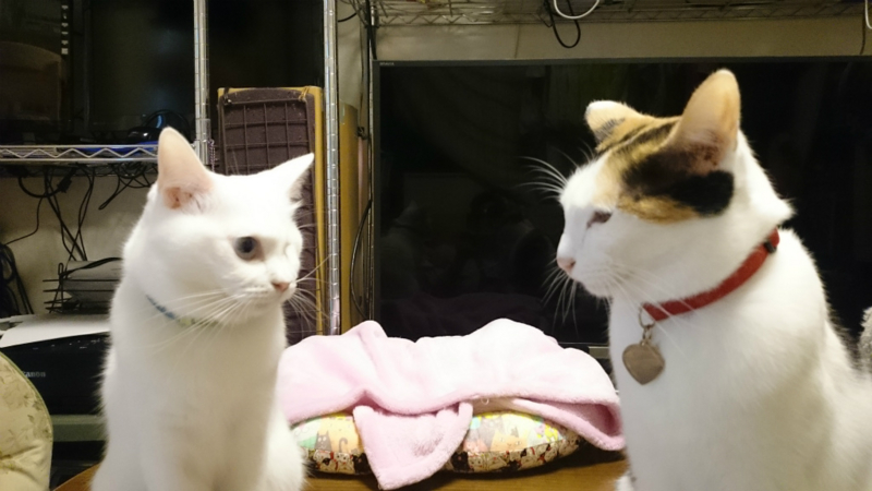 f:id:gosaku13:20161126114210j:image