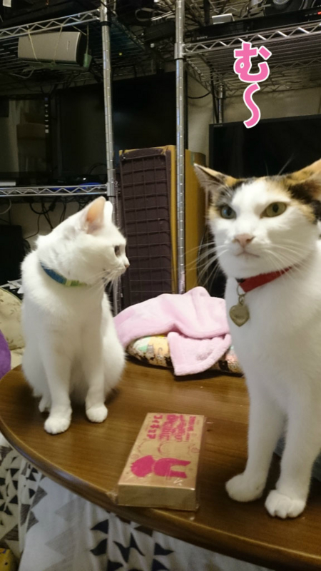 f:id:gosaku13:20161126114255j:image