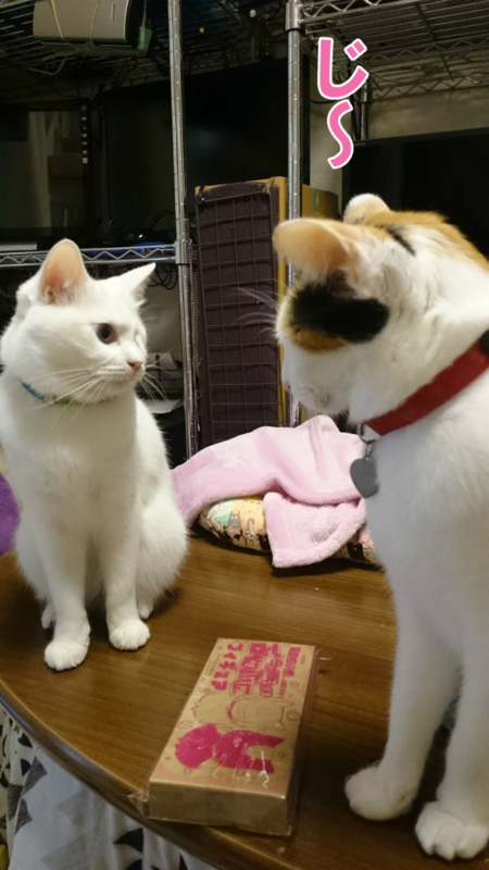 f:id:gosaku13:20161126114336j:image