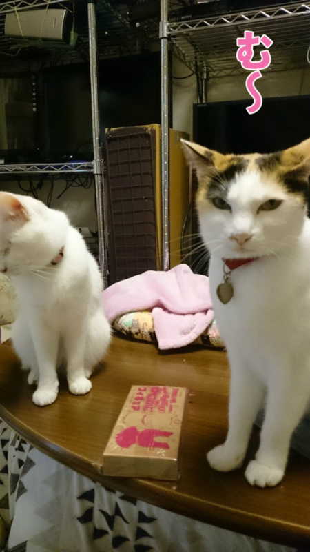 f:id:gosaku13:20161126114453j:image