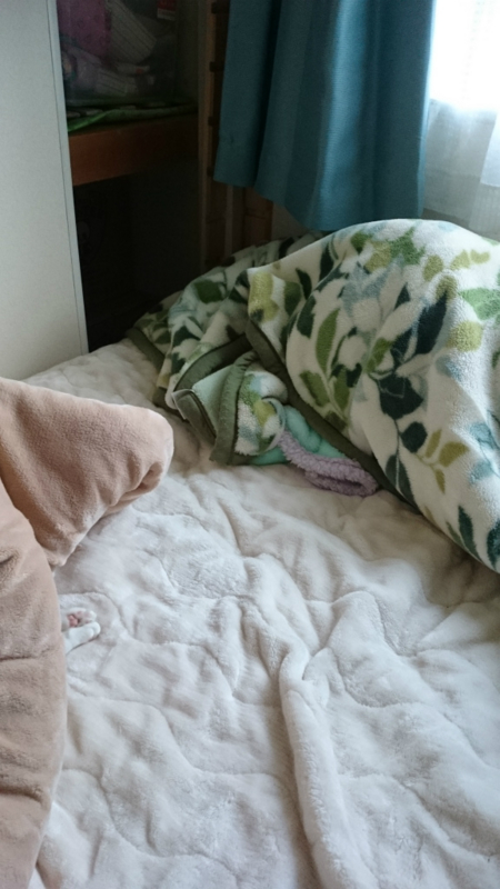 f:id:gosaku13:20161127192217j:image