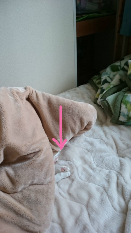 f:id:gosaku13:20161127192337j:image