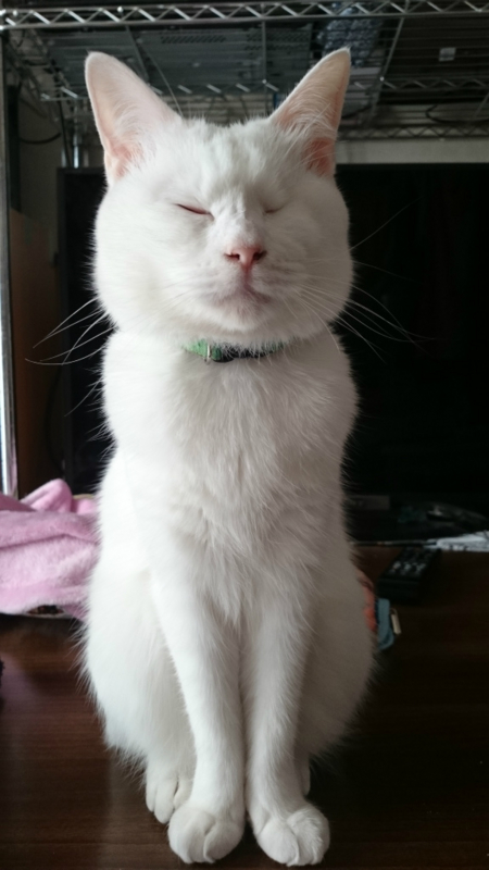 f:id:gosaku13:20161129195549j:image