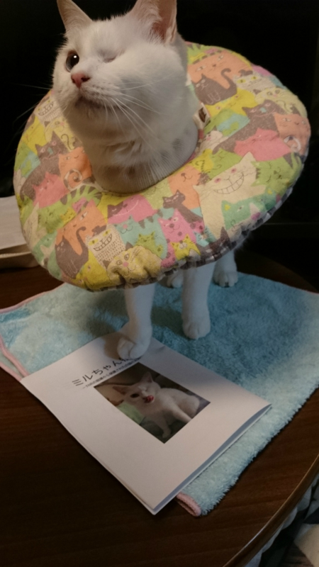 f:id:gosaku13:20170401190146j:image