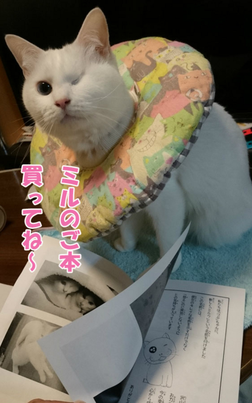 f:id:gosaku13:20170401190757j:image