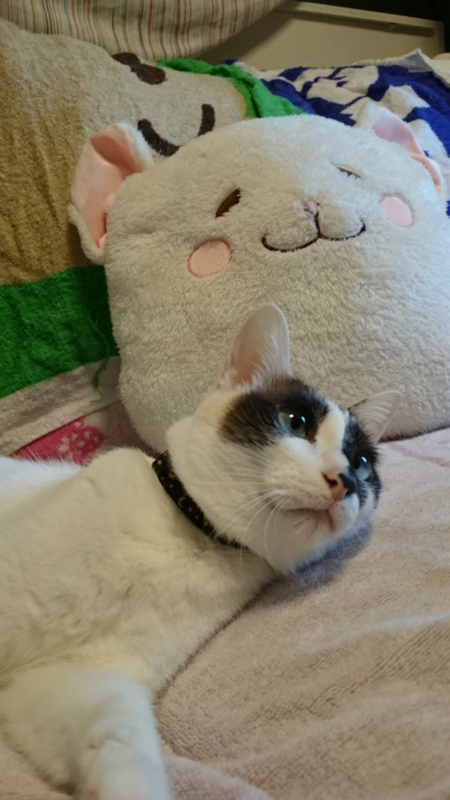 f:id:gosaku13:20170403161022j:image