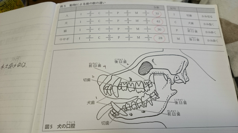 f:id:gosaku13:20170403202550j:image
