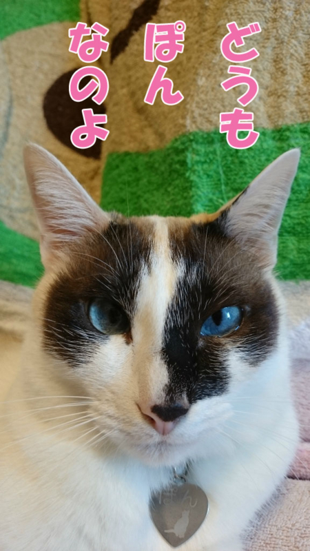 f:id:gosaku13:20170405221122j:image