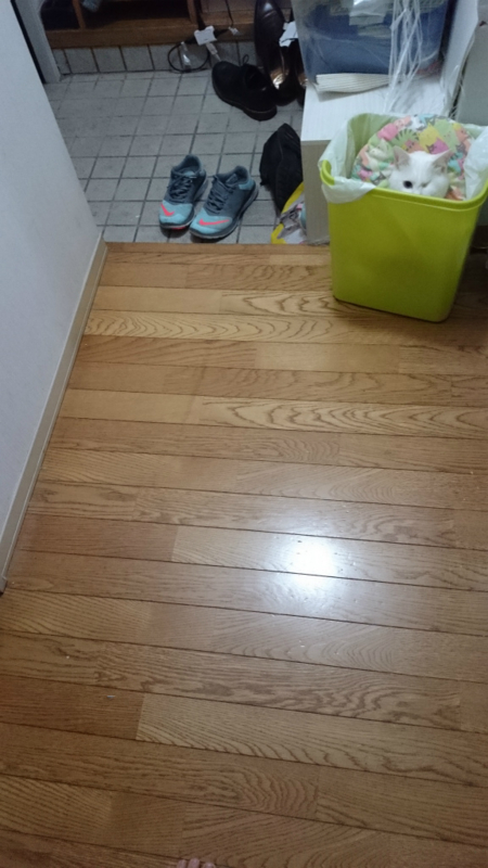 f:id:gosaku13:20170406095641j:image