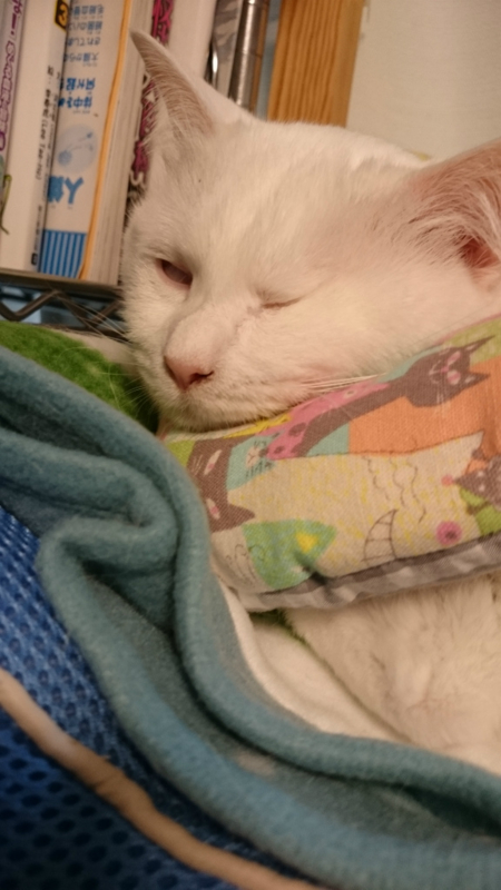 f:id:gosaku13:20170406201812j:image