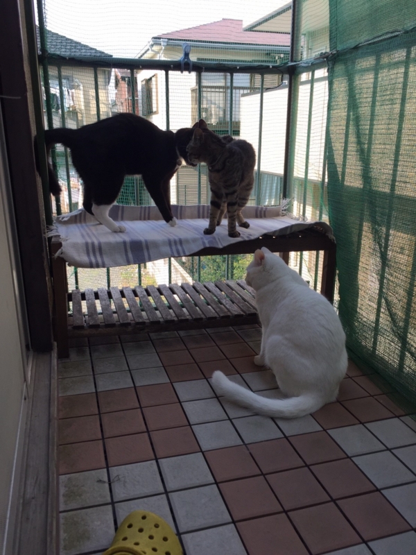 f:id:gosaku13:20170407081511j:image