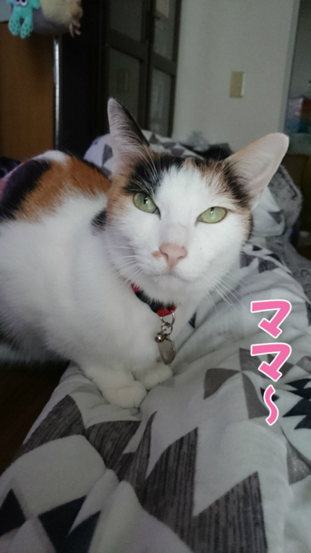 f:id:gosaku13:20170413120244j:image