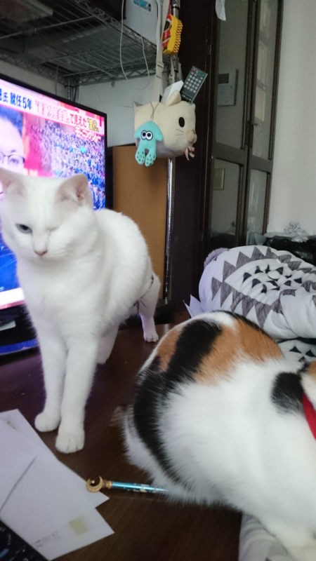 f:id:gosaku13:20170413120356j:image