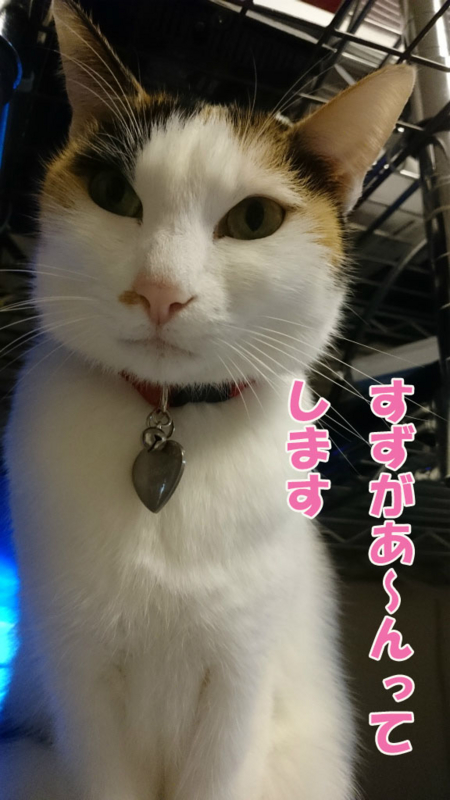 f:id:gosaku13:20170415125210j:image