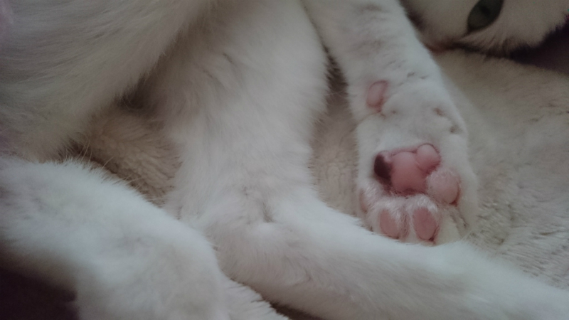 f:id:gosaku13:20170418094840j:image