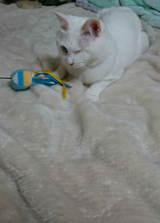 f:id:gosaku13:20170422234707j:image