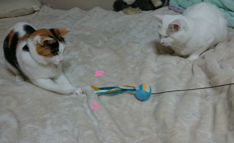 f:id:gosaku13:20170422234812j:image