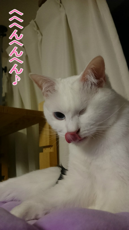 f:id:gosaku13:20170423094921j:image