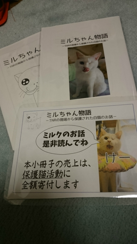 f:id:gosaku13:20170426215219j:image