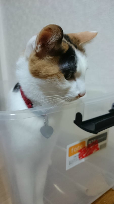 f:id:gosaku13:20170430093404j:image