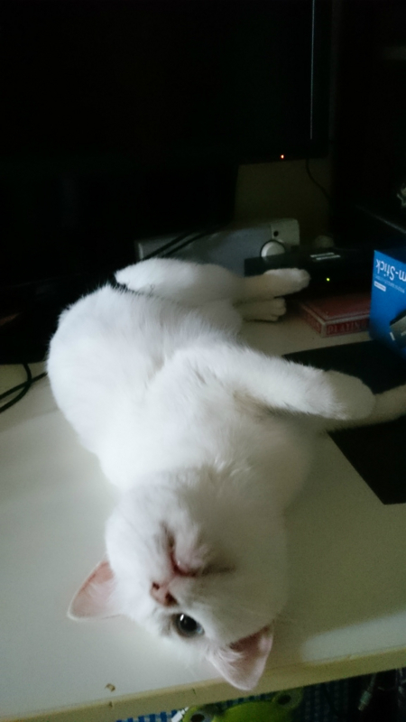 f:id:gosaku13:20170713072529j:image