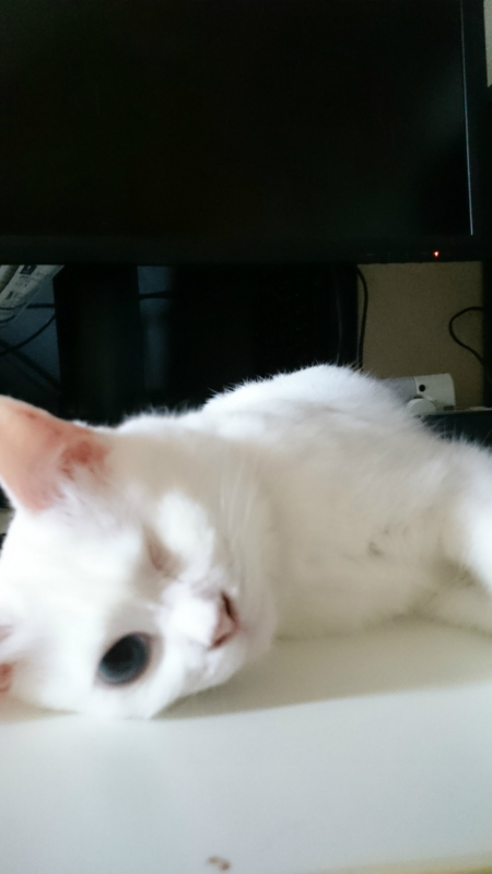 f:id:gosaku13:20170713072917j:image