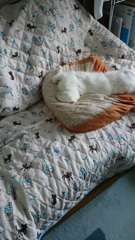 f:id:gosaku13:20170714112211j:image