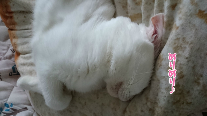 f:id:gosaku13:20170714112257j:image