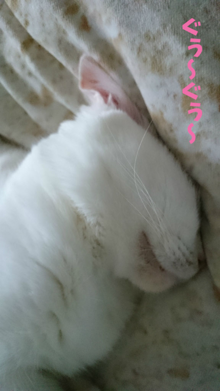 f:id:gosaku13:20170714112337j:image