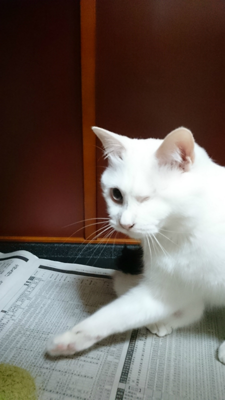 f:id:gosaku13:20170717084735j:image