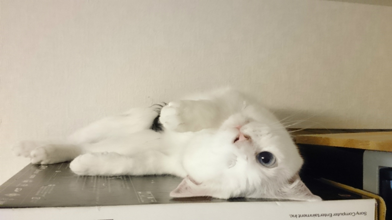 f:id:gosaku13:20170720104336j:image