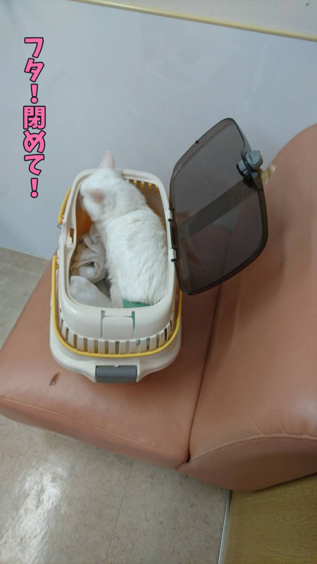 f:id:gosaku13:20170726120513j:image