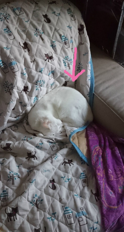 f:id:gosaku13:20170814233516j:image