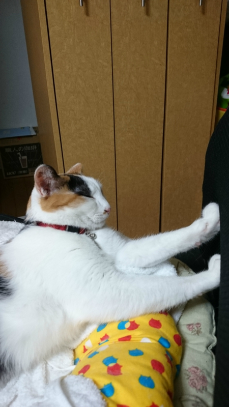 f:id:gosaku13:20170816194207j:image