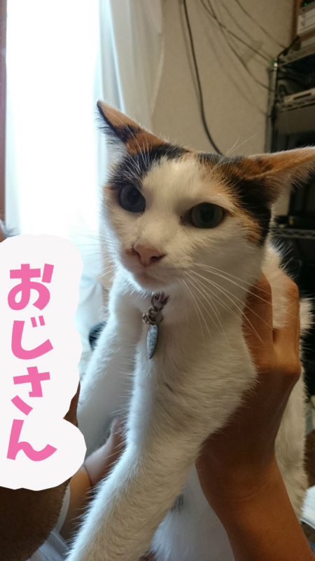 f:id:gosaku13:20170820200308j:image