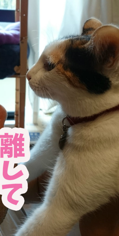 f:id:gosaku13:20170820200431j:image