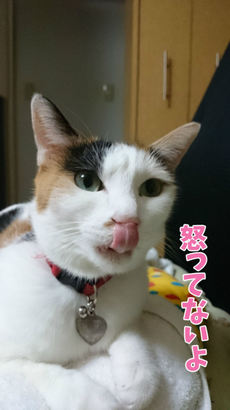 f:id:gosaku13:20170822120346j:image