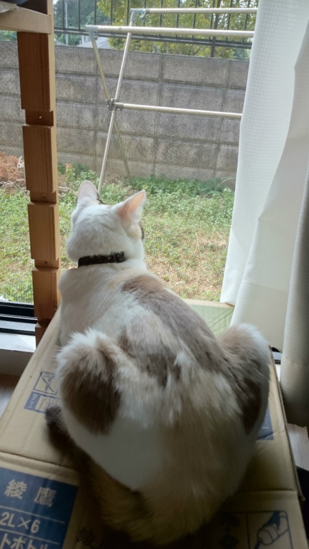 f:id:gosaku13:20170825221534j:image