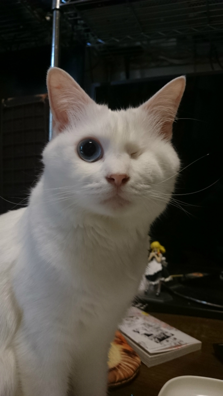 f:id:gosaku13:20170829150315j:image