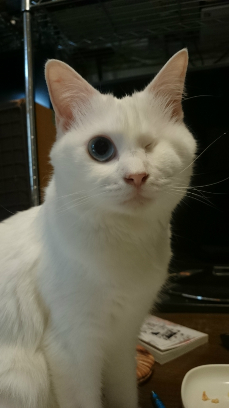 f:id:gosaku13:20170829150323j:image