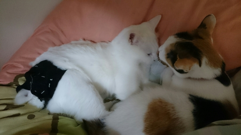 f:id:gosaku13:20180412205115j:image