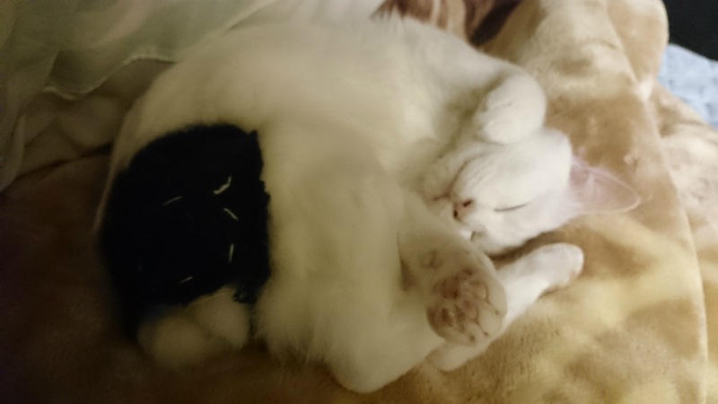 f:id:gosaku13:20180414205249j:image