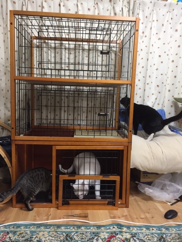 f:id:gosaku13:20180416202959j:image