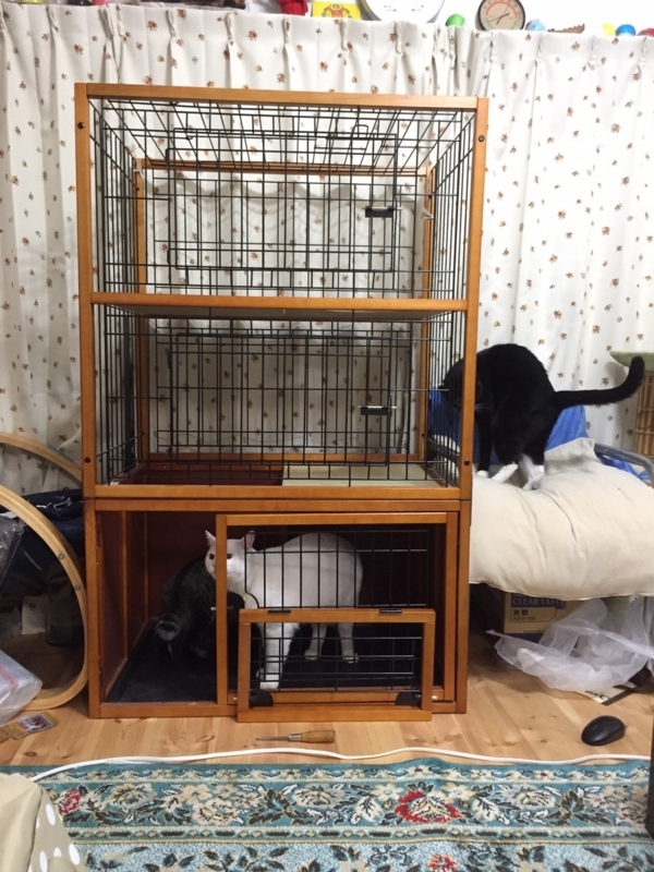 f:id:gosaku13:20180416203003j:image