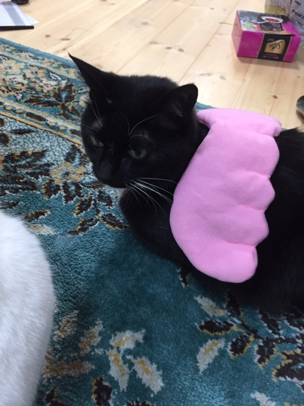 f:id:gosaku13:20180416203007j:image