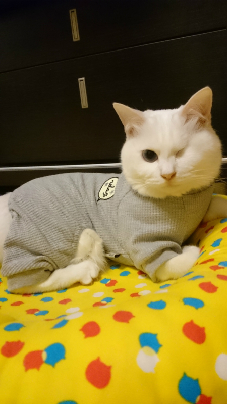 f:id:gosaku13:20180428201216j:image