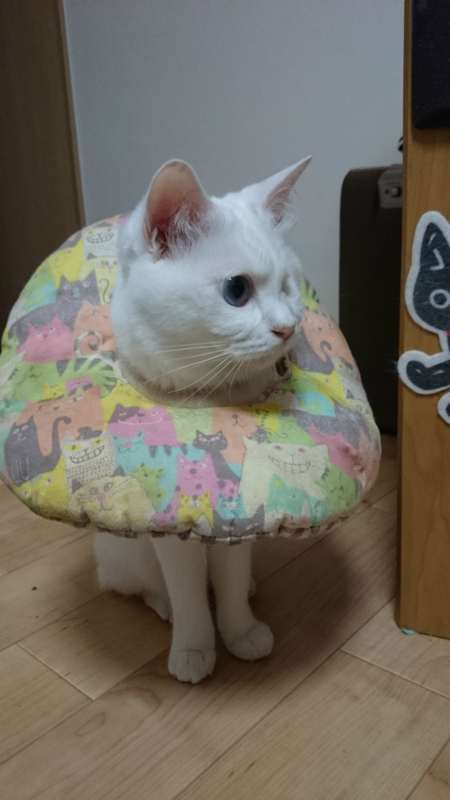 f:id:gosaku13:20180706220803j:image